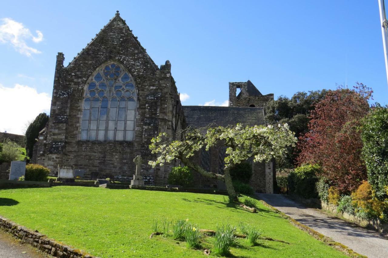 Devon View House Bed and Breakfast Youghal Buitenkant foto