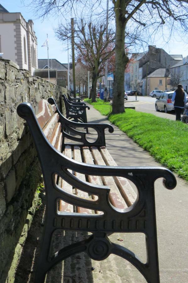 Devon View House Bed and Breakfast Youghal Buitenkant foto